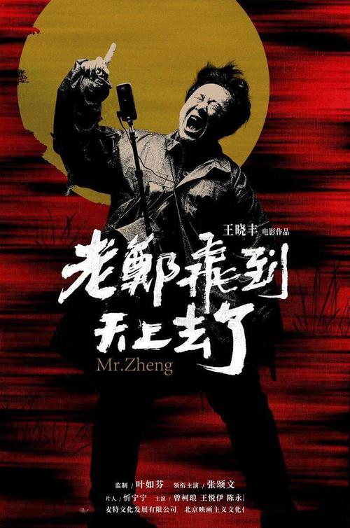 办理假兴业银行支票